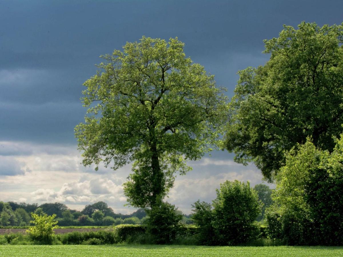 Villa Monumental Farm In The Ash Landscape Geesteren  Esterno foto
