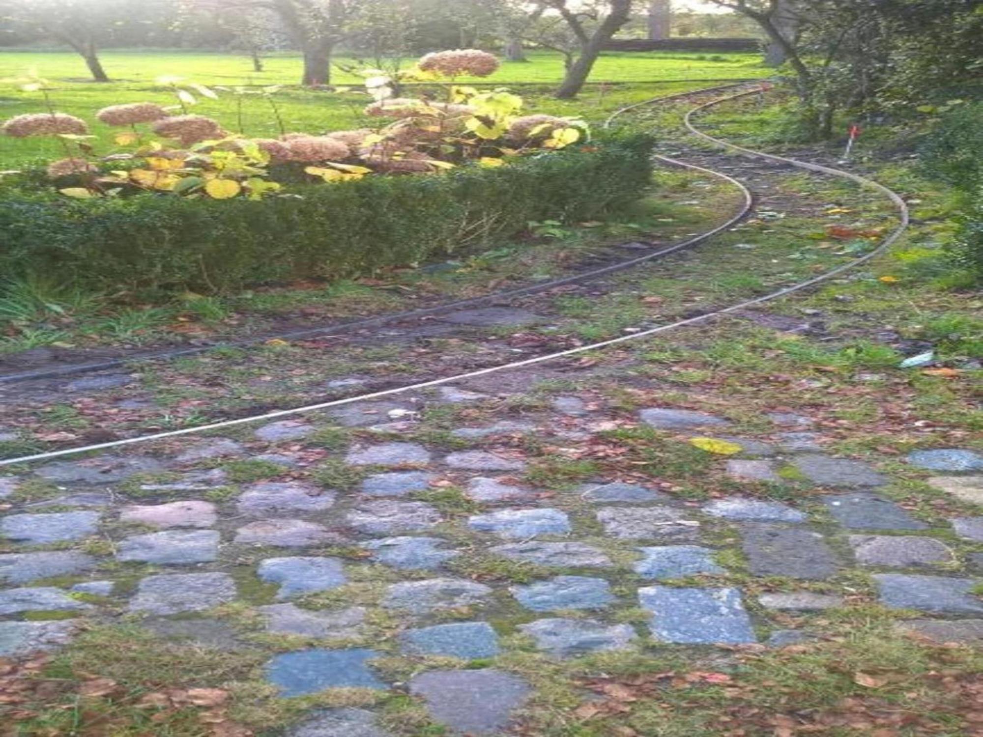 Villa Monumental Farm In The Ash Landscape Geesteren  Esterno foto